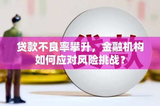 普湾新区贷款不良率攀升，金融机构如何应对风险挑战？