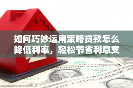 普湾新区如何巧妙运用策略贷款怎么降低利率，轻松节省利息支出