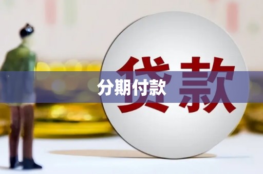 普湾新区分期付款
