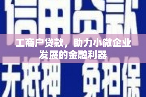 普湾新区工商户贷款，助力小微企业发展的金融利器
