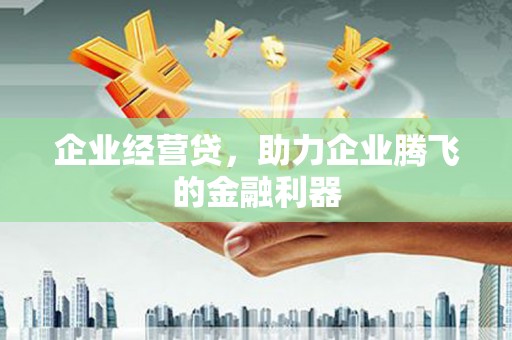 普湾新区企业经营贷，助力企业腾飞的金融利器