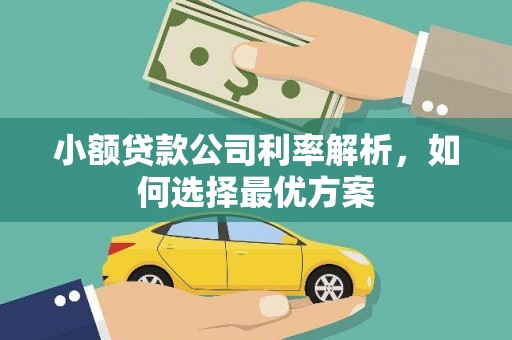 普湾新区小额贷款公司利率解析，如何选择最优方案