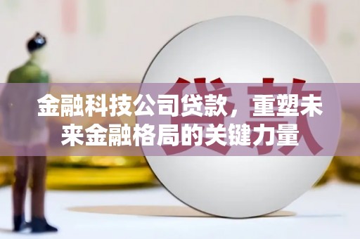 普湾新区金融科技公司贷款，重塑未来金融格局的关键力量