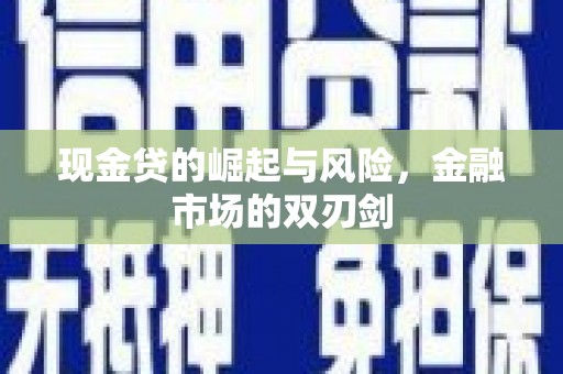 普湾新区现金贷的崛起与风险，金融市场的双刃剑