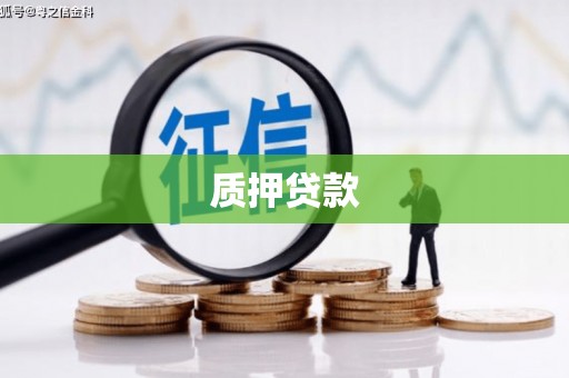 普湾新区质押贷款