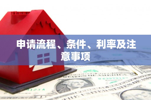普湾新区申请流程、条件、利率及注意事项