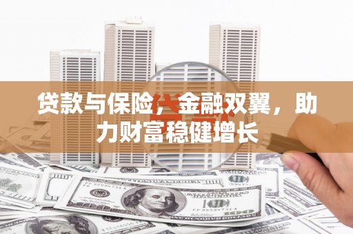 普湾新区贷款与保险，金融双翼，助力财富稳健增长