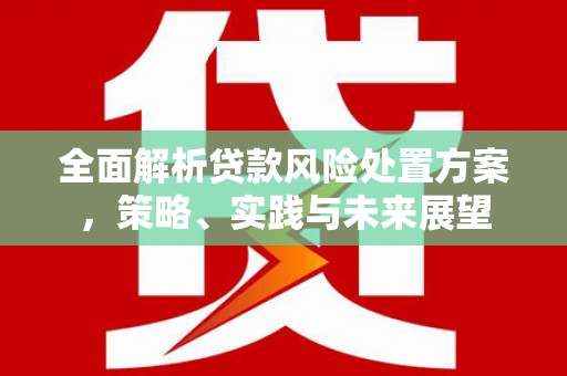 普湾新区全面解析贷款风险处置方案，策略、实践与未来展望