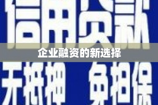 普湾新区企业融资的新选择