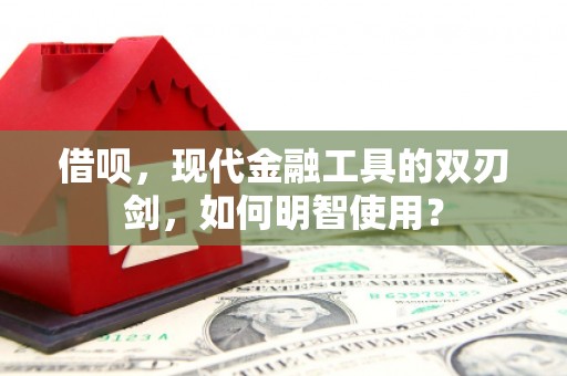 普湾新区借呗，现代金融工具的双刃剑，如何明智使用？