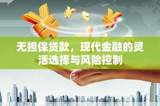 普湾新区无担保贷款，现代金融的灵活选择与风险控制
