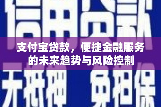 普湾新区支付宝贷款，便捷金融服务的未来趋势与风险控制