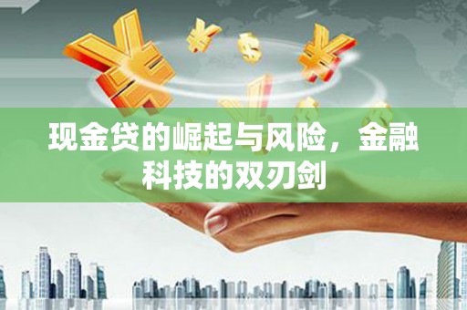 普湾新区现金贷的崛起与风险，金融科技的双刃剑