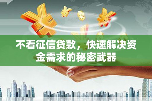 普湾新区不看征信贷款，快速解决资金需求的秘密武器
