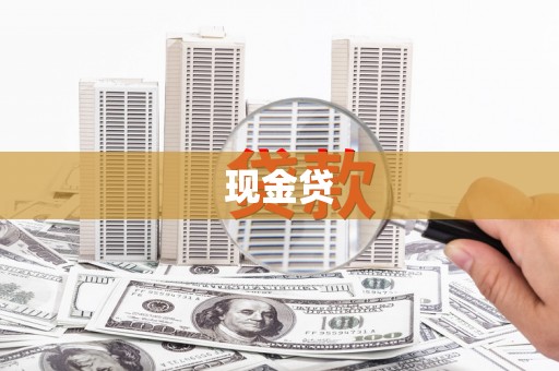 普湾新区现金贷