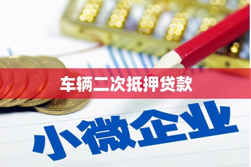 普湾新区车辆二次抵押贷款