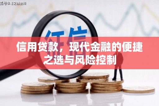 普湾新区信用贷款，现代金融的便捷之选与风险控制