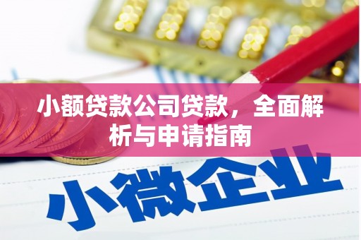 普湾新区小额贷款公司贷款，全面解析与申请指南