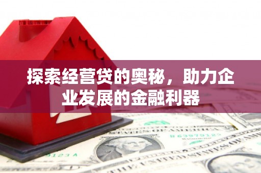 普湾新区探索经营贷的奥秘，助力企业发展的金融利器