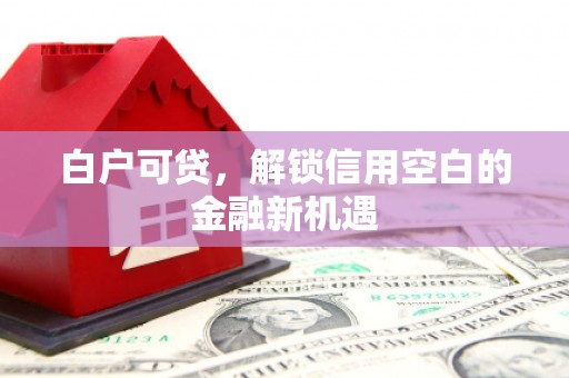 普湾新区白户可贷，解锁信用空白的金融新机遇