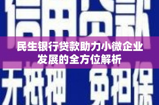 普湾新区民生银行贷款助力小微企业发展的全方位解析