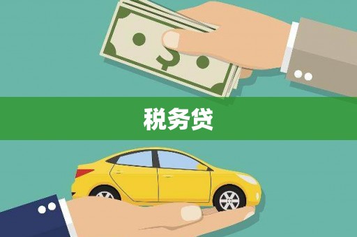 普湾新区税务贷