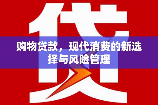 普湾新区购物贷款，现代消费的新选择与风险管理