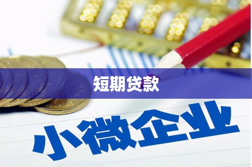 普湾新区短期贷款