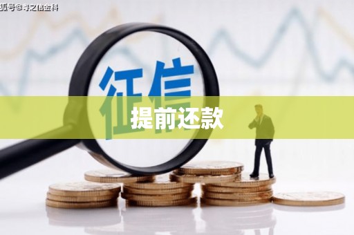 普湾新区提前还款