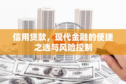 普湾新区信用贷款，现代金融的便捷之选与风险控制