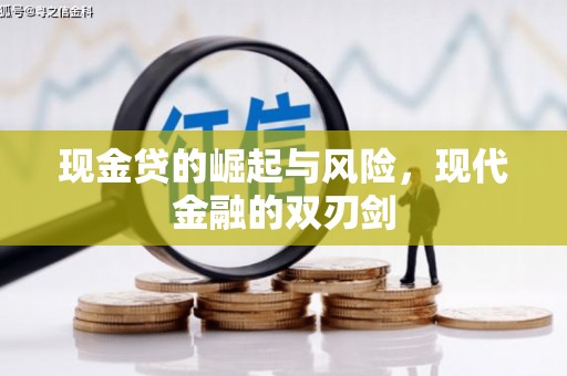 普湾新区现金贷的崛起与风险，现代金融的双刃剑