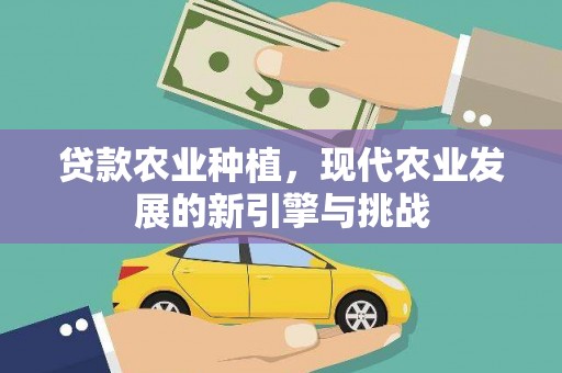 普湾新区贷款农业种植，现代农业发展的新引擎与挑战