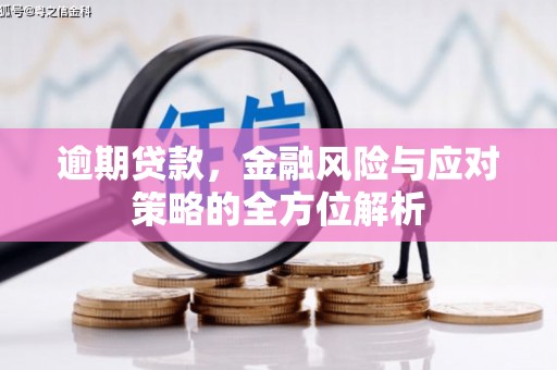 普湾新区逾期贷款，金融风险与应对策略的全方位解析