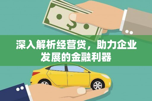 普湾新区深入解析经营贷，助力企业发展的金融利器