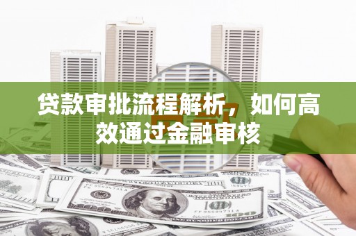 普湾新区贷款审批流程解析，如何高效通过金融审核