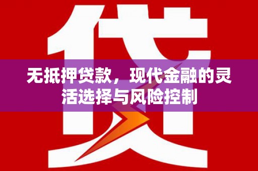 普湾新区无抵押贷款，现代金融的灵活选择与风险控制