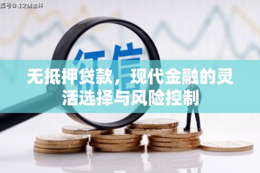 普湾新区无抵押贷款，现代金融的灵活选择与风险控制