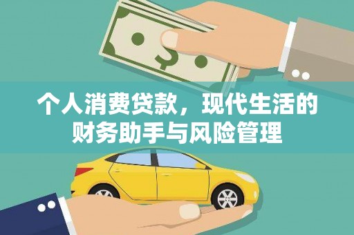 普湾新区个人消费贷款，现代生活的财务助手与风险管理