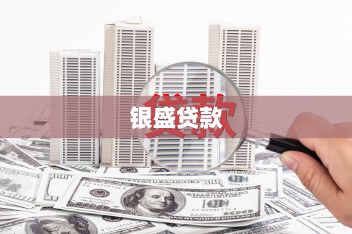 普湾新区银盛贷款