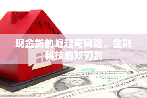 普湾新区现金贷的崛起与风险，金融科技的双刃剑