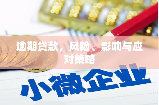 普湾新区逾期贷款，风险、影响与应对策略