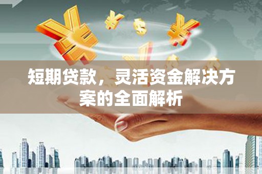 普湾新区短期贷款，灵活资金解决方案的全面解析