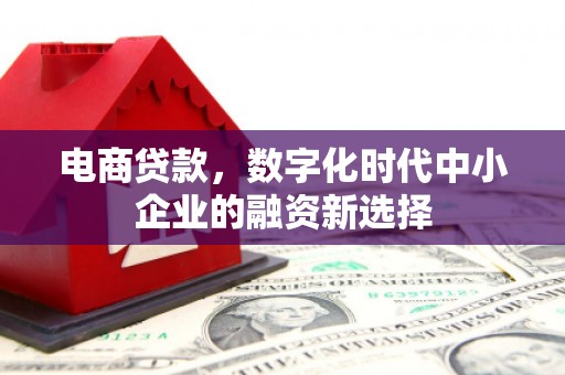 普湾新区电商贷款，数字化时代中小企业的融资新选择