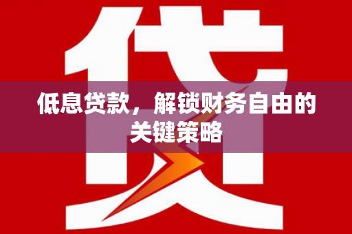 普湾新区低息贷款，解锁财务自由的关键策略
