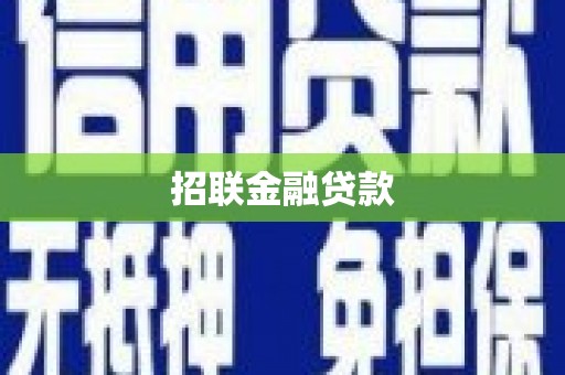 普湾新区招联金融贷款