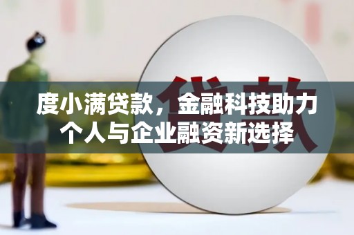 普湾新区度小满贷款，金融科技助力个人与企业融资新选择