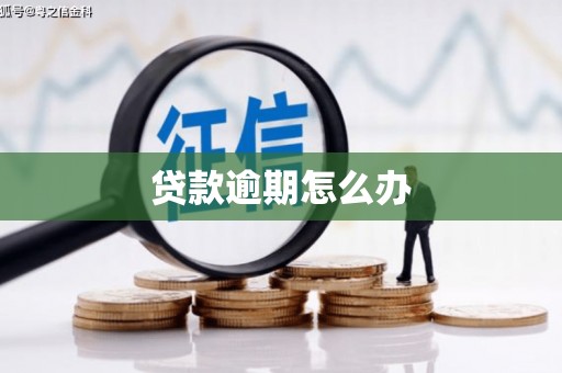 普湾新区贷款逾期怎么办