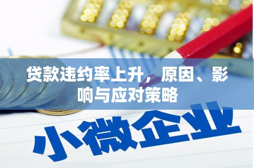 普湾新区贷款违约率上升，原因、影响与应对策略