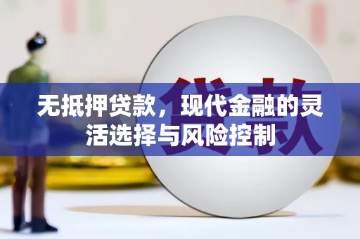 普湾新区无抵押贷款，现代金融的灵活选择与风险控制
