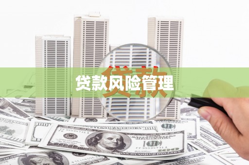 普湾新区贷款风险管理